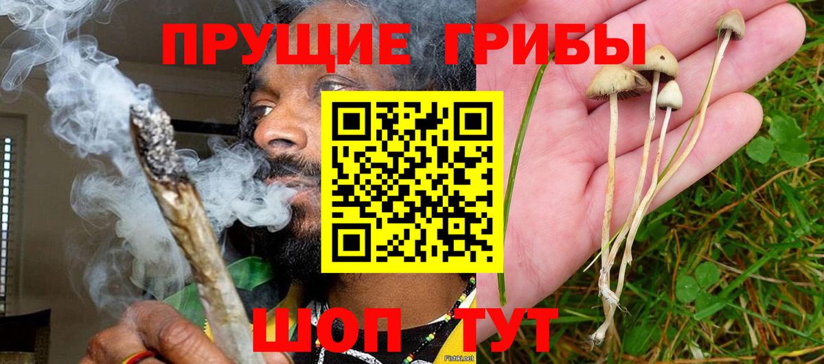 Галлюциногенные грибы ЛСД Сарапул